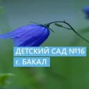 Канал МКДОУ "Д/С 16" Саткинский МО в MAX