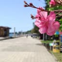 Канал Abkhazia Open в MAX