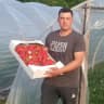 MAX-канал Клубника🍓 ТуТ Смоленск
