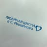 MAX-канал Новости Михайловской школы