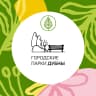 MAX-канал Городские парки. Дубна