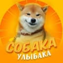 Канал Собакен | Животные Юмор Смех Улыбка Приколы Питомцы Домашние Животные Отдых Развлечение Смех Коты Видео | Смешные коты собаки 2026 | Мемы животных | Угар с питомцами | Вирусные видео собак в MAX