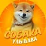 MAX-канал Собакен | Животные Юмор Смех Улыбка Приколы Питомцы Домашние Животные Отдых Развлечение Смех Коты Видео | Смешные коты собаки 2026 | Мемы животных | Угар с питомцами | Вирусные видео собак