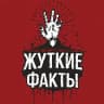MAX-канал Жуткие факты и истории | страшные факты мистика ужасы истории криповые факты
