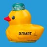 MAX-канал Альметьевск Новости
