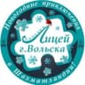 MAX-канал Лицей города Вольска