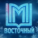 Канал ГБОУДО ДТДиМ "Восточный" в MAX