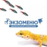 MAX-канал EXOMENU.RU | ЭКЗОМЕНЮ