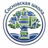 MAX-канал МБОУ "Сосновская СОШ"