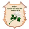 MAX-канал МОУ «Ропшинская школа»
