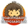 MAX-канал Петрозаводск