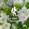 MAX-канал Visit Tyumen | Куда сходить в Тюмени