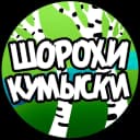 Канал Шорохи Кумыски. Саратов в MAX