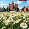 MAX-канал Администрация Чистоозёрского сельсовета