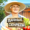 Канал Дачные секреты в MAX