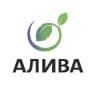 MAX-канал АЛИВА - ивовый питомник растений. Плетёные деревья.