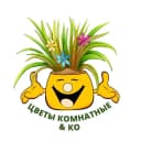 Канал Цветы комнатные & Ко в MAX
