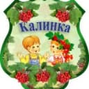 Канал МБДОУ "Центр развития ребенка-детский сад №138" в MAX