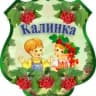 MAX-канал МБДОУ "Центр развития ребенка-детский сад №138"