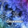MAX-канал МБДОУ детский сад № 6 "Снежинка"