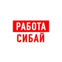 Канал Работа в Сибае в MAX