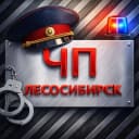 Канал ЧП Лесосибирск в MAX