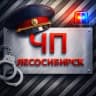 MAX-канал ЧП Лесосибирск