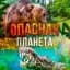 MAX-канал Опасная планета