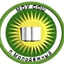 Канал Канал МОУ сош го Молодёжный в MAX