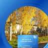 MAX-канал Ямникская средняя школа