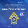 MAX-канал Вологодский Следком