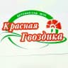 MAX-канал МБУ детский сад № 56 "Красная гвоздика"