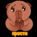 Стикеры Набор стикеров Капибара в MAX
