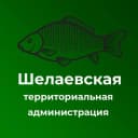 Канал Шелаевская территориальная администрация в MAX