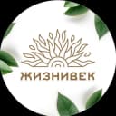 Канал Жизнивек в MAX