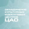 MAX-канал ОКЦ ЦАО города Москвы