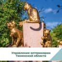 Канал Управление ветеринарии Тюменской области в MAX