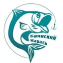 Канал Брянский Карась в MAX