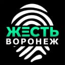 Канал Жесть Воронеж в MAX
