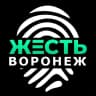 MAX-канал Жесть Воронеж