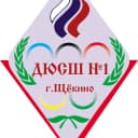 Канал ДЮСШ №1 г. Щёкино в MAX