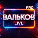 Канал ВАЛЬКОВ_LIVE в MAX