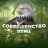 MAX-канал Совершенство птиц