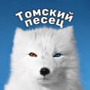 Канал Томский песец в MAX