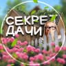 MAX-канал Секрет дачи | Дом и Сад