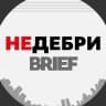 MAX-канал Недебри.Brief
