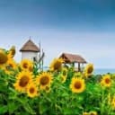 Канал ☀️МБДОУ МО «Детский сад№219»☀️ в MAX