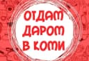 Канал ДАРОМ Коми в MAX