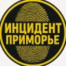 MAX-канал Инцидент/Приморье/Владивосток/Арсеньев/Артем/Большой Камень