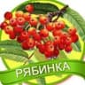 MAX-канал МАДОУ ЦРР-д/с 18 "Рябинка" МО Кавказский район